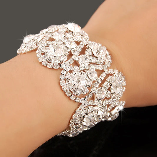 New Fashion Charm Bracelets 925 Silver AAAAA Zircon Crystal For Women