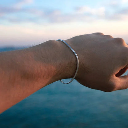 Simple Stainless Steel Snake Bracelet