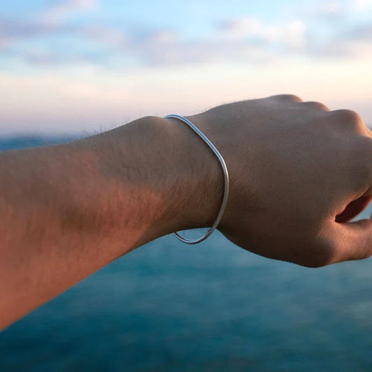 Simple Stainless Steel Snake Bracelet