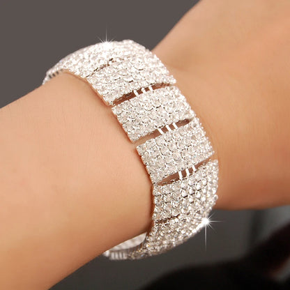 New Fashion Charm Bracelets 925 Silver AAAAA Zircon Crystal For Women